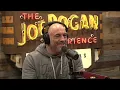 Joe Rogan Experience - Taylor Sheridan