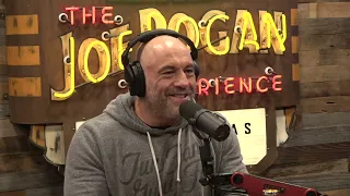 Joe Rogan Experience - Taylor Sheridan