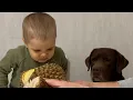 Download Lagu Toddler and His Dog React to Durian Smell! Funniest Moment Ever!