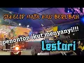 Download Lagu Lestari \
