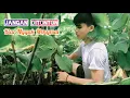 Lagu Mencoba Berkebun Dan Melestarikan Tanaman Ubi Ganyong di Kampung