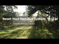 Nervous System Reset Somatic Healing Guided Hypnosis for Calm Safety Emotional Relief