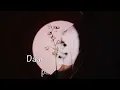 Refentse - Nykie (Lyrics)