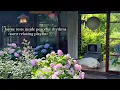 Lagu home rests inside peaceful rhythms - /asmr relaxing music playlist/