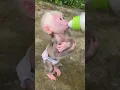 Download Lagu Bayi monyet minum susu #shortsfeed #funny #lucu #monyetminumsusu #babymonkey
