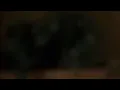 When Every I Make is a Black Box Meme
