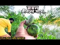 Lagu জঙ্গল জীবনের সাথে সাথে | সিজন ৩১ | পর্ব ২১ | Belayet Sarder | Mohsin ul Hakim