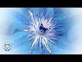 Download Lagu Reiki for the Mouth, Gums \u0026 Teeth | Energy Healing