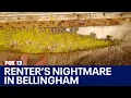 Bellingham renters plead for help over flooding mold problems FOX 13 Seattle