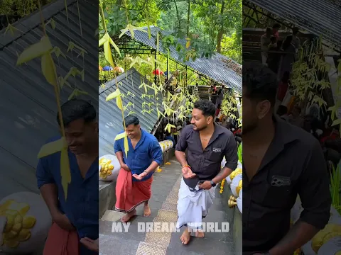പെട്ടെന്നുണ്ടായ ഒരു യാത്ര വിശേഷം #shorts