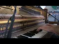 "A Life Lived" from The Windermere Children by Alex Baranowski (live piano version)