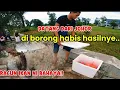 Download Lagu DI BORONG HABIS HASILNYE..!!DARI JOHOR KE PANTAI MORIB‼️#ketam #ikan#ikanlautsegar 