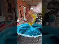 Download Lagu Como pintar rines de motos con la técnica de jabón
