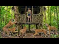 Lagu Survival in the Jungle Day 200: Build a Treehouse to Avoi TigGer Attacks
