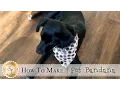 How to Make a Pet Bandana a Shabby Fabrics Sewing Tutorial