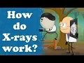 Download Lagu How do X-rays work? | #aumsum #kids #science #education #children