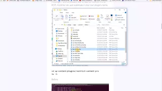 2018 02 01 17h19 56 Unit test WP Plugin Setup P1
