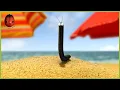 Download Lagu Thievish As A Magpie | Minuscule 🍃 50' Compilation
