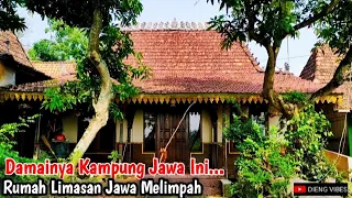 Download A peaceful morning in a Javanese village, Limasan Houses Abundant, Village Walking Tour MP3