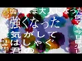 土岐麻子 /「夏夜のマジック」 Lyric Video