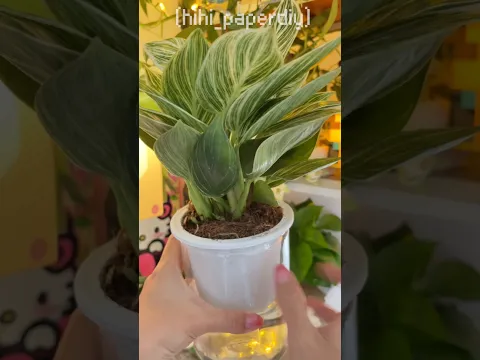 #asmr #unboxing #foryou #shorts #satisfying #blindbag #blindbox