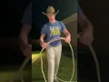 How to throw a LASSO in 30 SECONDS