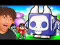 Download Lagu We Spent $9,821,420 in Roblox Pet Simulator!