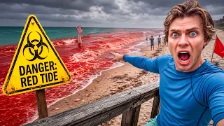 If you see RED in the OCEAN… DO NOT SWIM!!