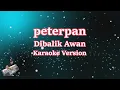 Download Lagu PETERPAN - DIBALIK AWAN (Karaoke Lirik Tanpa Vocal)