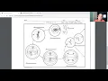 RCHBio How to Complete Meiosis Worksheet