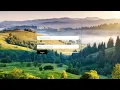 How to create login page with background image in html css bootstrap 5