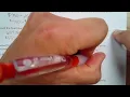 Chapter 2 Perforance Task Practice