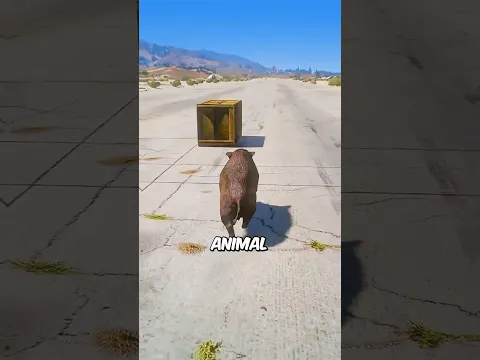 Que Animal Consigue Esconderse #gta  #gtav