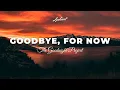 Lagu The Goodnight Project - Goodbye, For Now [relaxing ambient piano]
