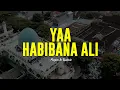 Download Lagu YAA HABIBANA ALI SYAILILLAH | Majelis Ar Raudhah | Lirik \u0026 Terjemah