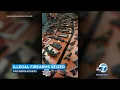 San Bernardino police seize more than 120 illegal guns rifles while serving search warrants