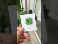 Make a four-leaf clover clay pin with me