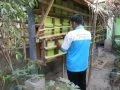 JUAL MADU KLANCENG/LANCENG/TRIGONA/TEUWEUL DI JAKARTA