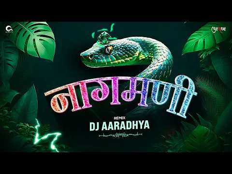 Download MP3 Naagmani Dj Aaradhya || तोला देहु रे नागमणी || Cg Remix 2024