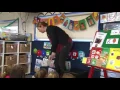 Using Visual Schedule - Bimbi Timetable