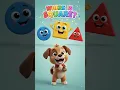 Can You Find the Shape Learn Shapes with Cute Animals