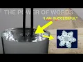 Your Words Are The Most Powerful Force in The Universe USE IT WISELY