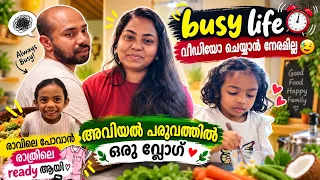 🙆‍♀️എല്ലാം കൂടി അവിയൽ പോലെ ഒരു വ്ലോഗ് | busy life vlog #mallusinfinland #familyvlog #malayalam 
