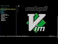 Undoquit vim
