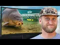Download Lagu Korda UNDERWATER - Carplantis Part 2 | Carp Fishing 2025