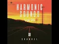 Download Lagu DJ.ru Микс: Shankel — Harmonic Sound. Vol.99