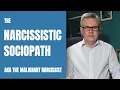 Download Lagu The Narcissistic Sociopath (Malignant Narcissism)
