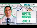 Neurology Optic Nerve Cranial Nerve II Visual Pathway and Lesions