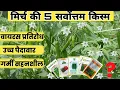 Download Lagu मिर्च की 5 जबरदस्त किस्में | Hybrid Chilli Seeds | Mirch ki Kheti | Armour | Egale | Unnati 60 13