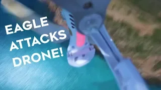 The Day An Eagle Attacked Our Drone.  You have to SEE THIS!  (Sailing SV Sarean) Ep. 62